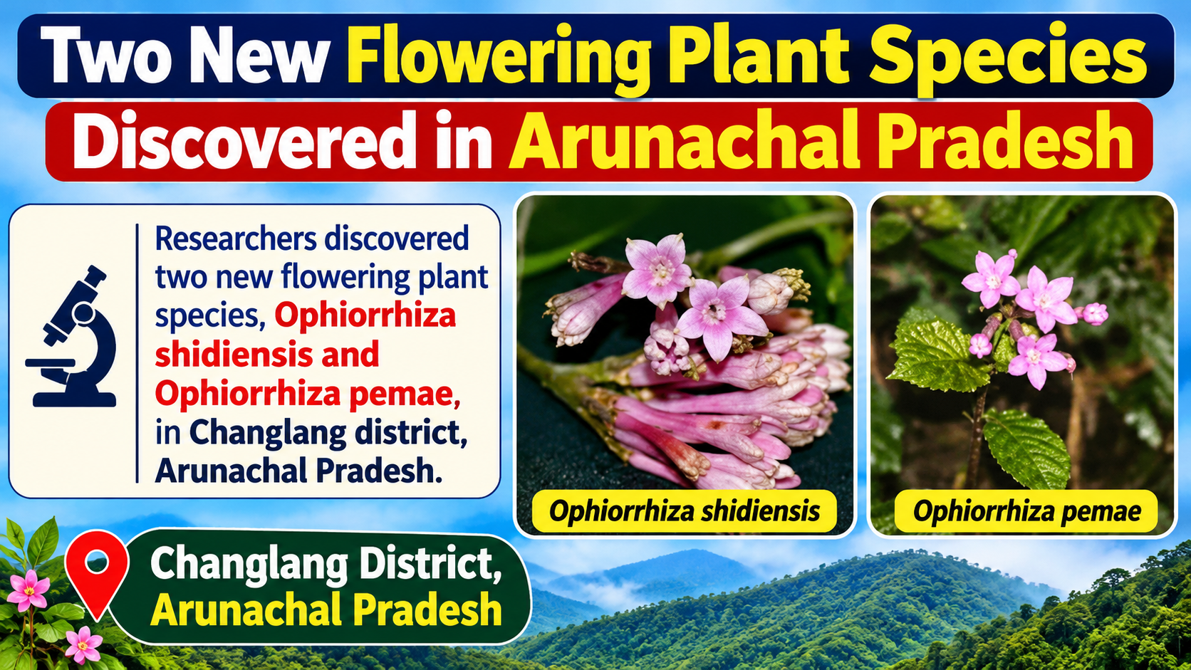 Two New Flowering Plant Species 'Ophiorrhiza shidiensis' and 'Ophiorrhiza pemae' Discovered in Arunachal Pradesh