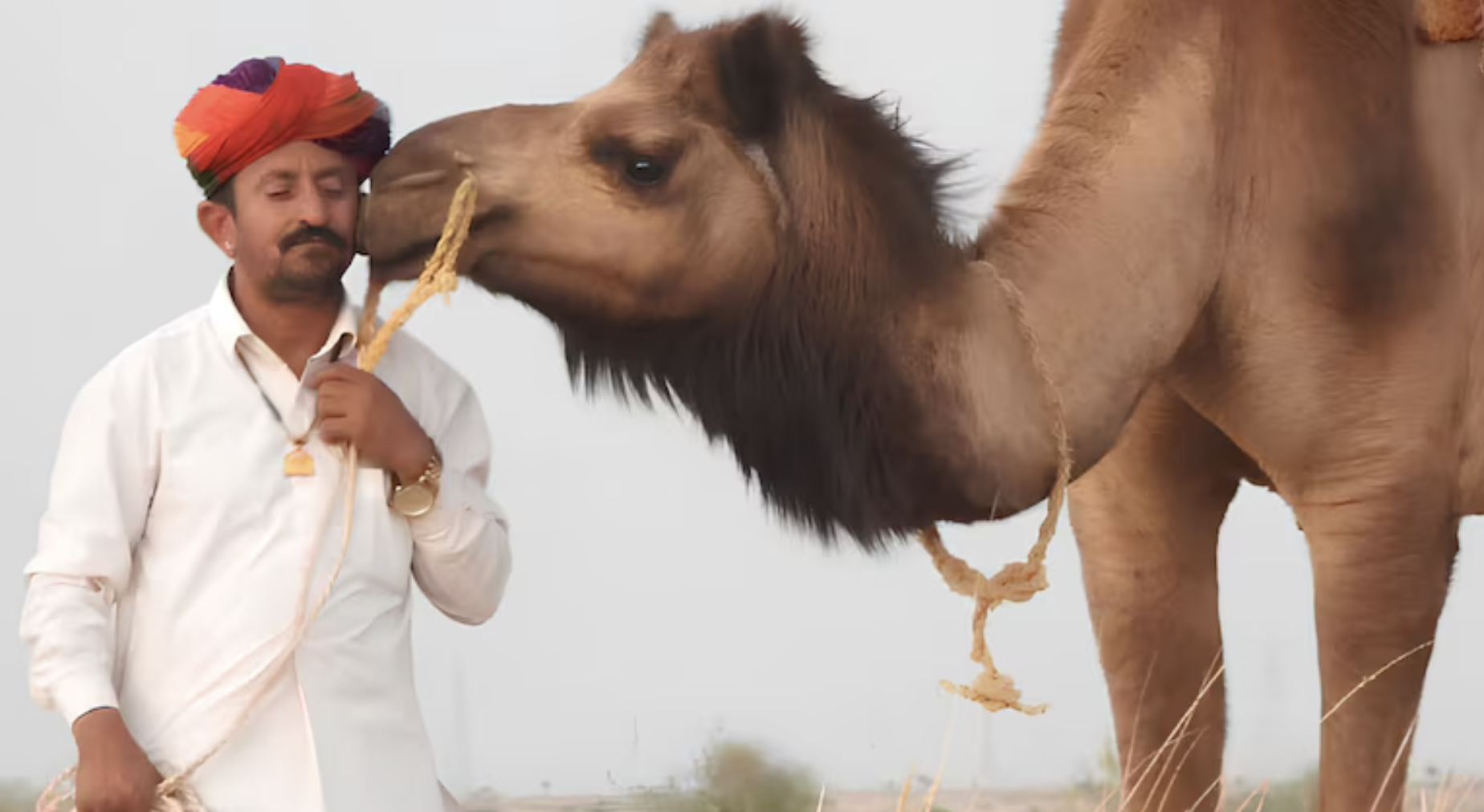 Thar Environmentalist Sumer Singh Bhati Wins 'Rangeland Restoration Award 2026'