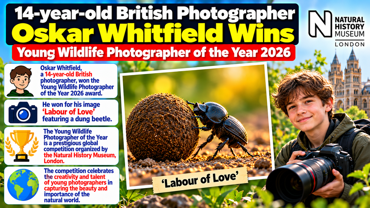 Wildlife Photography Awards 2026: 14-Year-Old British Photographer Oskar Whitfield Wins Young Title