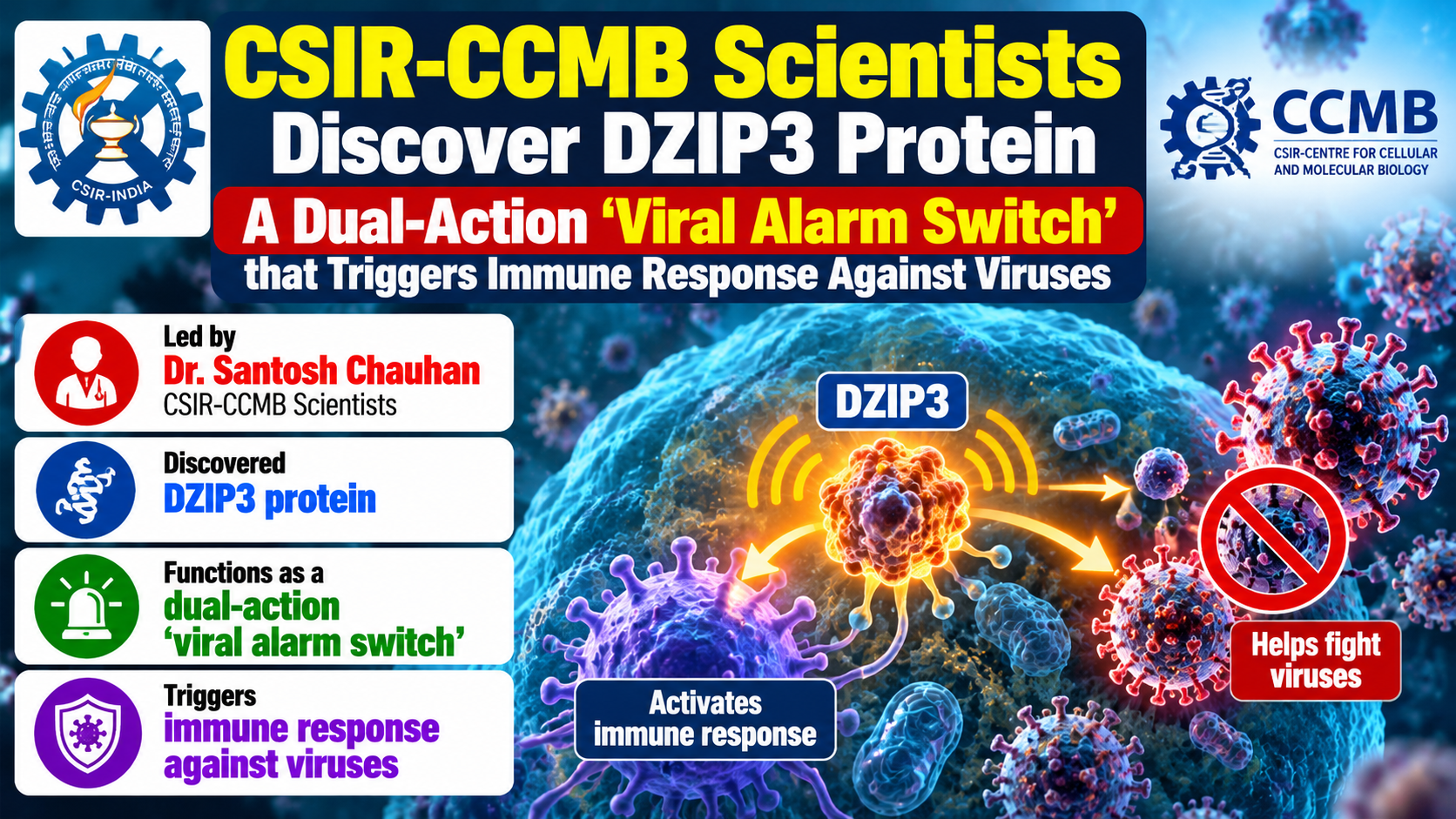 CSIR-CCMB Scientists Discover New 'Viral Alarm Switch' DZIP3 in Human Cells